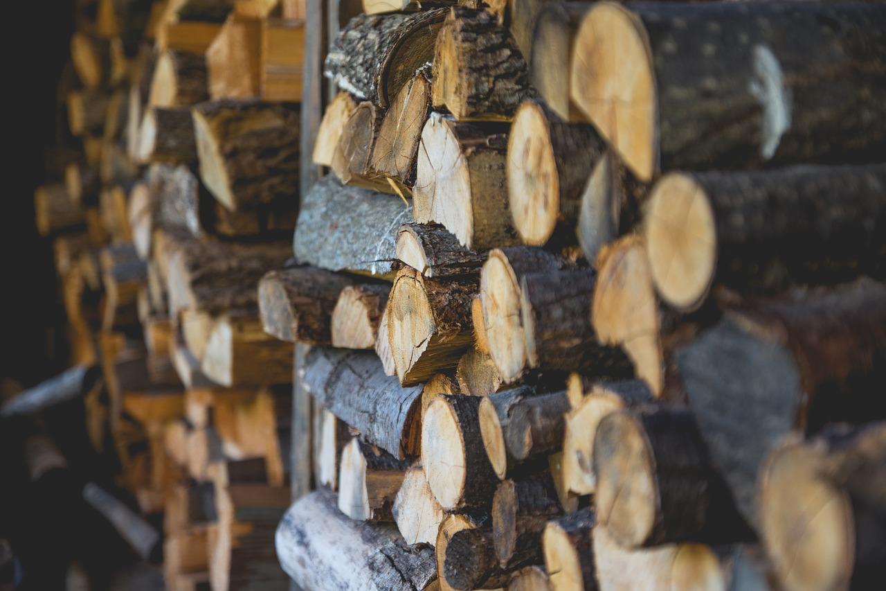 Into the woods: how a resurgence in timber could redefine the construction industry