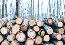 wood-logs-lumber-woodpile-firewood