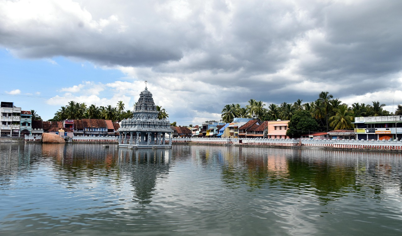 COVID-19: India’s Tamil Nadu state shuts borders